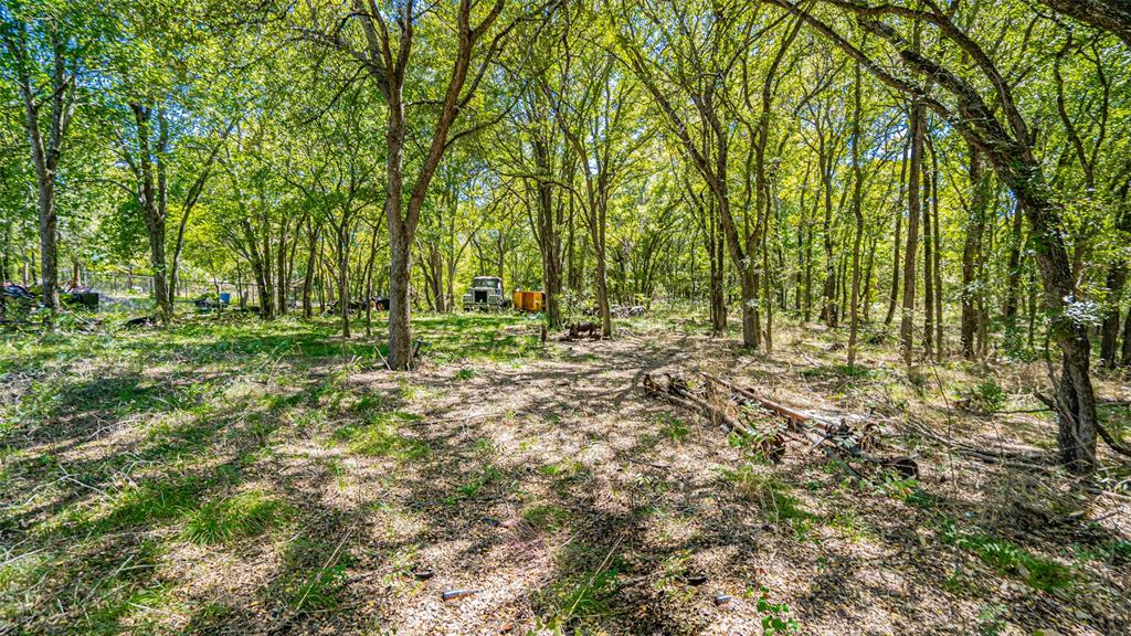 Bluebonnet Hills - Land