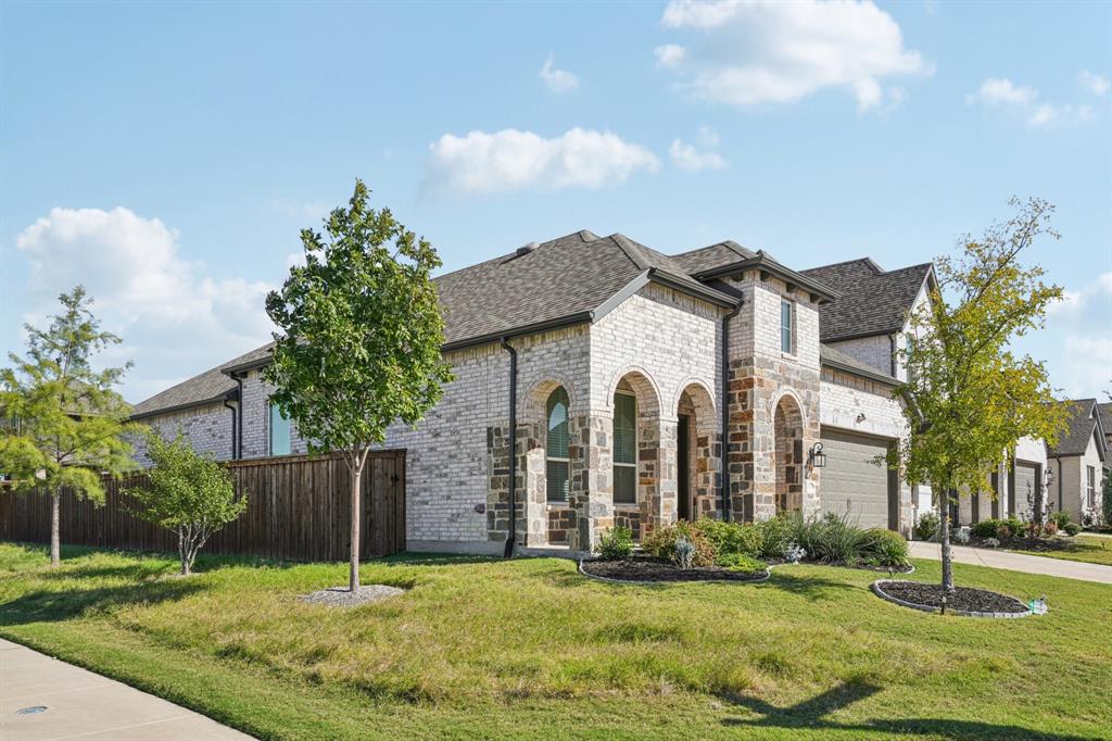 1901 Braided Mane Avenue