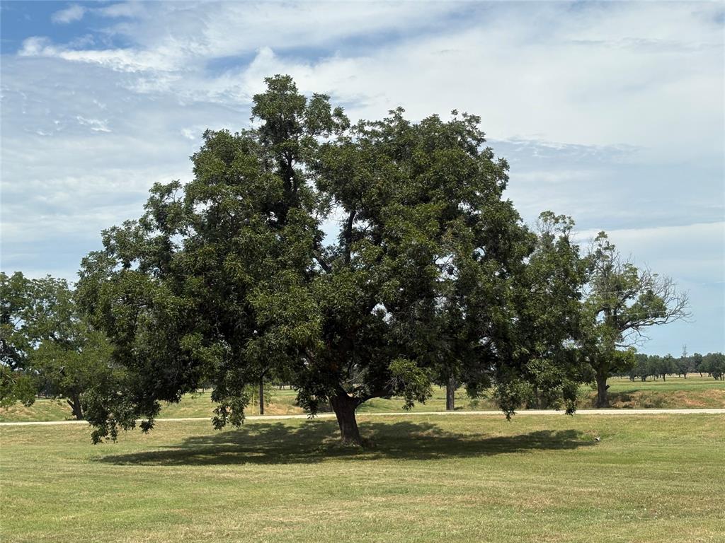 River Ranch on The Brazos - Land