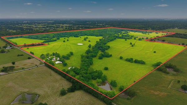 7635 COUNTY ROAD 4209, CAMPBELL, TX 75422 - Image 2d366c8d6963db09fef34f4a2ad1f573/4066489151