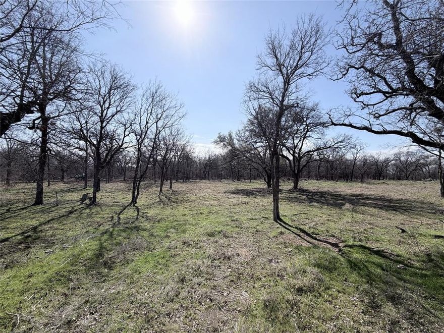 This 3-acre lot within the city limits of Whitney offers mature trees and natural privacy, including live oaks. Located in Lakewood Acres, a gated subdivision with a chip sealed private road, City water service, and underground electric. Deed restrictions mirror City of Whitney standards. Enjoy space, shade, and frequent wildlife sightings.