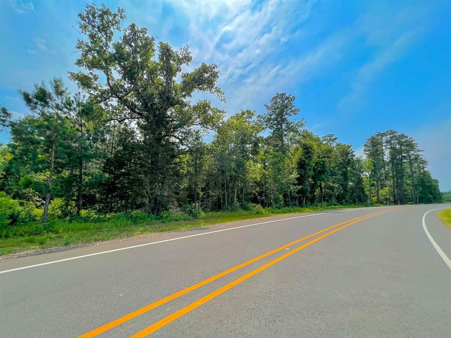 Rare Development Opportunity in the City of Lufkin!
One of the few large acreage tracts remaining inside the Lufkin City Loop, this 38+ acre property has great access with triple frontage on FM 841 (Ford Chapel Rd), Valley Avenue, and Whippoorwill Drive. Only seconds from the US 59 Loop S Medford Dr. (38,536 AADT). This site is close to schools, shopping, and major employers, making it an ideal location for residential development. Current residential zoning with an 8” water line along FM 841 and Valley Ave, as well as 6” sewer on both FM 841 Valley Ave., and an additional 8” sewer line running through the property. It was previously platted for 124 residential lots and an infrastructure cost share was discussed with the City of Lufkin. All city utilities are available with offsite detention nearby. Do not miss this opportunity! Contact us today!