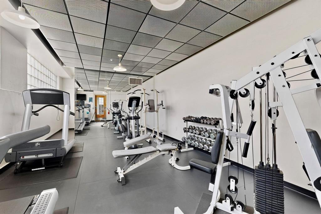 2502 Live Oak Street 330