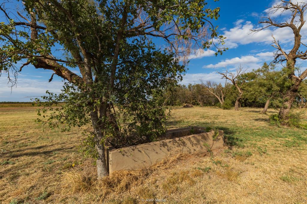 15157 County Road 453