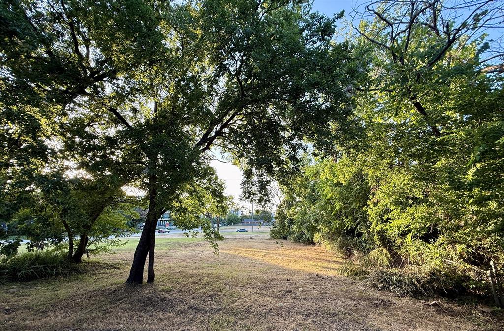 Fort Worth Original Town - Land