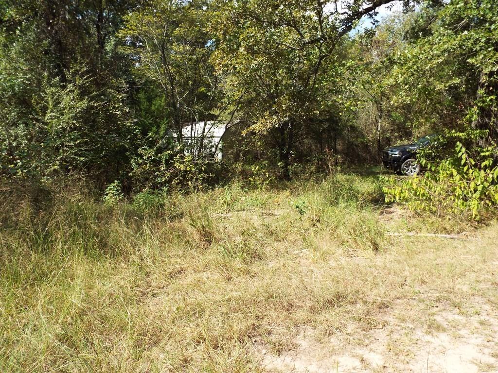 11748 River Ranch Road