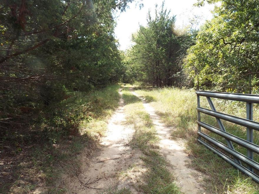 BEAUTIFUL PIECE OF LAND WITH SO MANY POSSIBILITIES, FENCED IN WITH LOTS OF TREES WITH A WELL ON THE PROPERTY AND A POWER POLE. HAS A HUNTING CABIN ON IT AND ANOTHER OUT BUILDING. A MUST SEE!