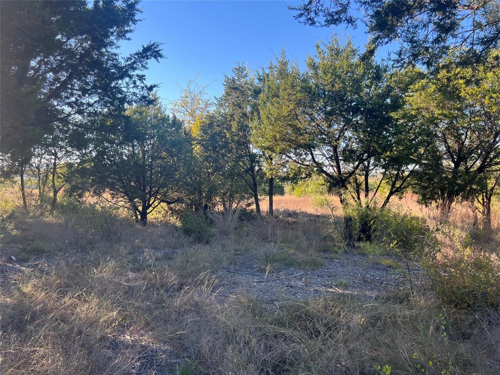 1000 Carsyn Creek Road