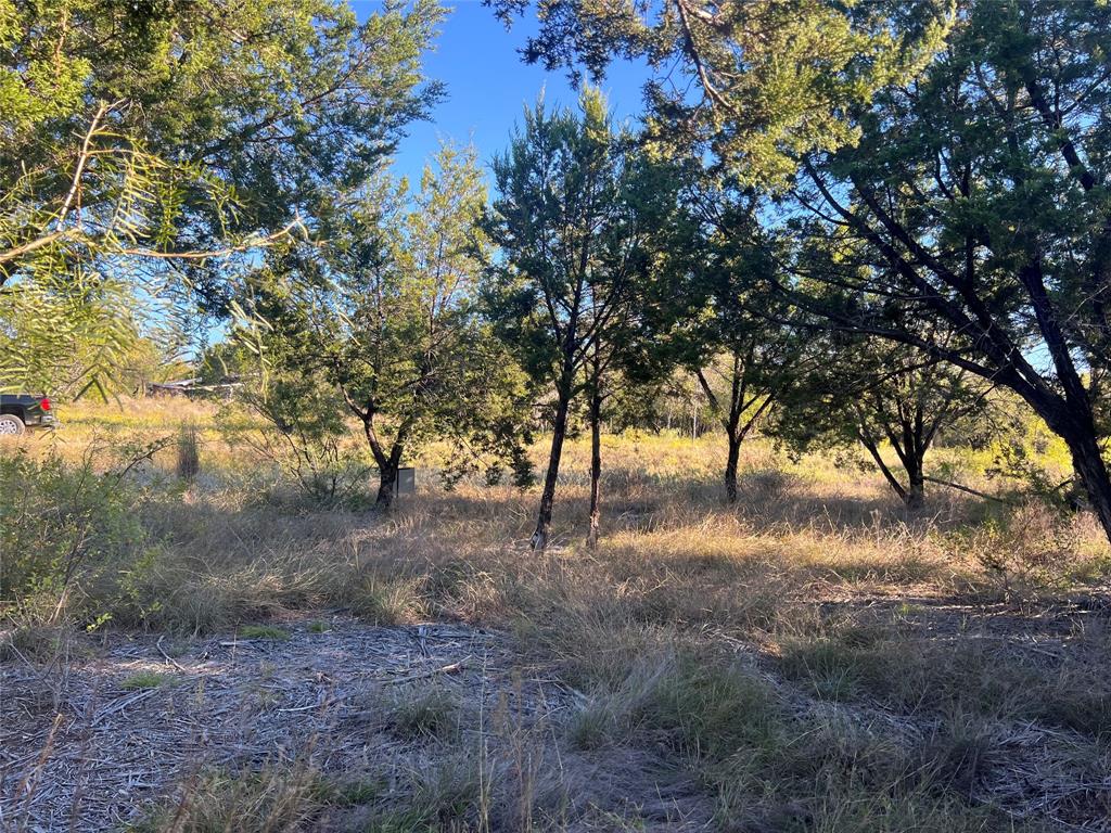 1000 Carsyn Creek Road