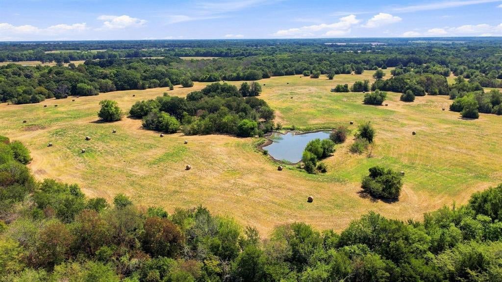 TBD Farm Road 38