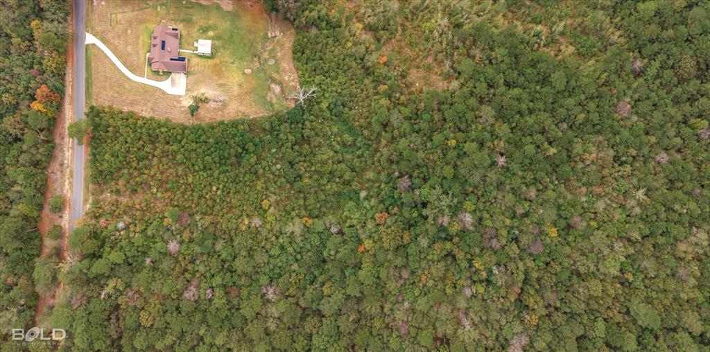 Rodessa, Louisiana 71069, United States, ,Land,Active,234483