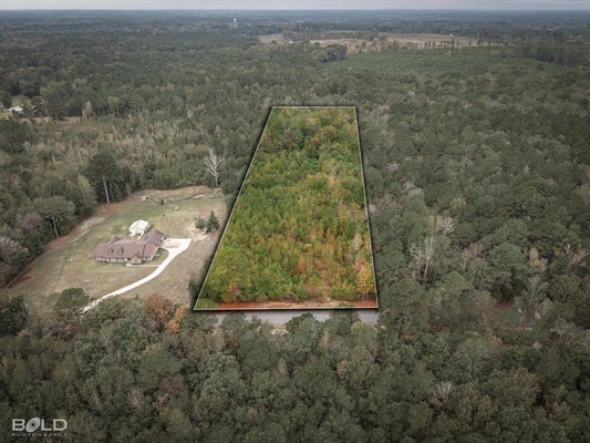 17788 RODESSA CHURCH RD, RODESSA, LA 71069 - Image 2de3f3f47d7a166960314f06c0ee0ffa/2834055007