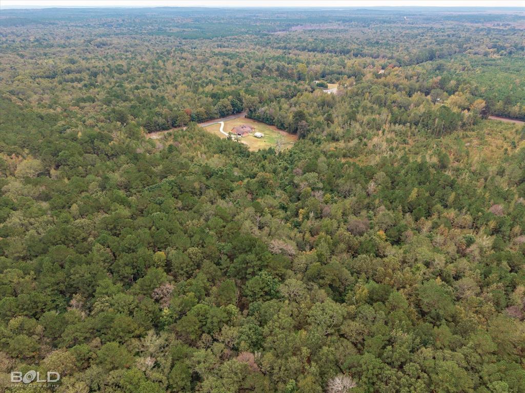 Rodessa, Louisiana 71069, United States, ,Land,Active,234483