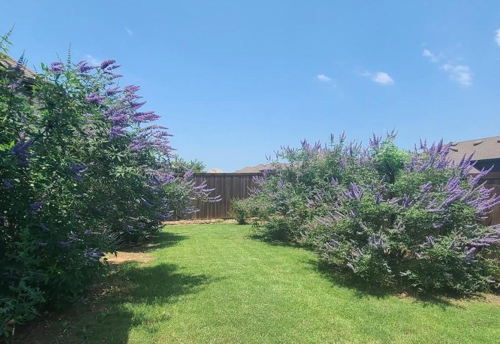 Wildridge - Residential