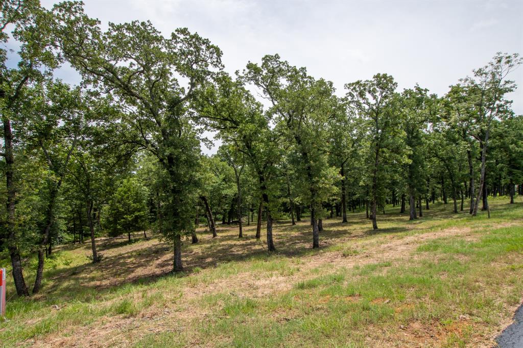 Cedar Creek Ranch - Land