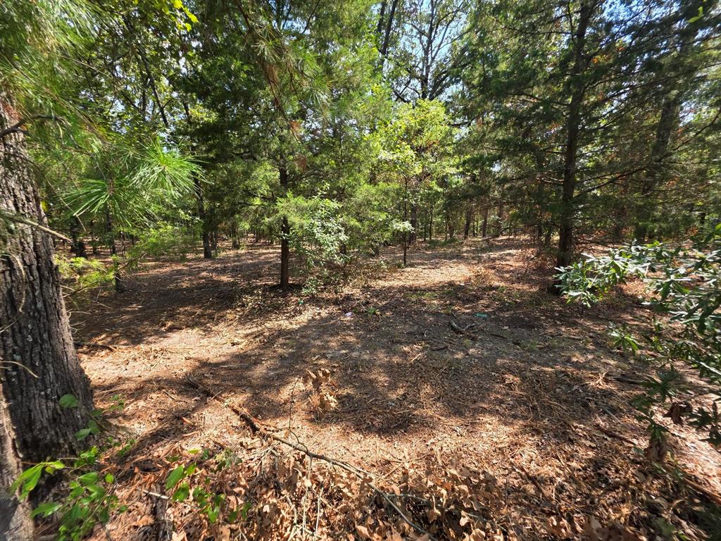 Joseph Reed Surv Abs #461 - Land