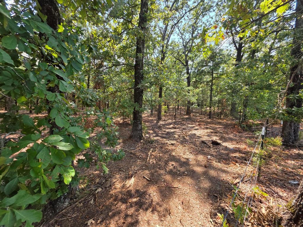 Joseph Reed Surv Abs #461 - Land