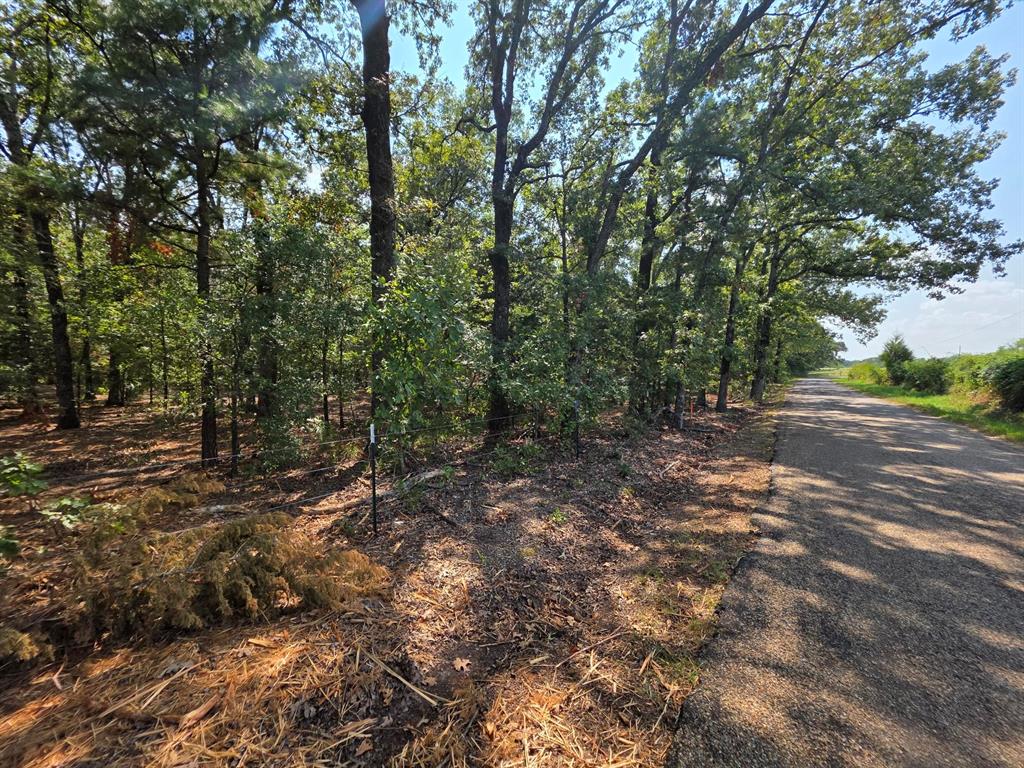 Joseph Reed Surv Abs #461 - Land