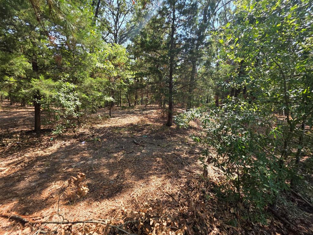 Joseph Reed Surv Abs #461 - Land