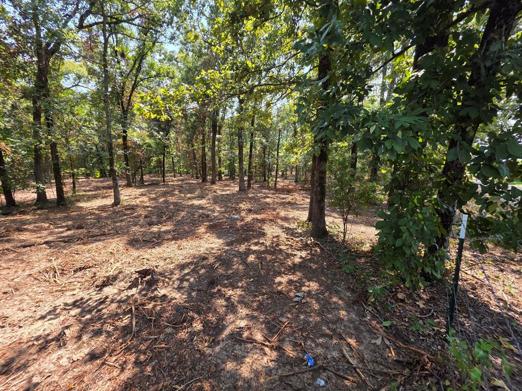 Joseph Reed Surv Abs #461 - Land