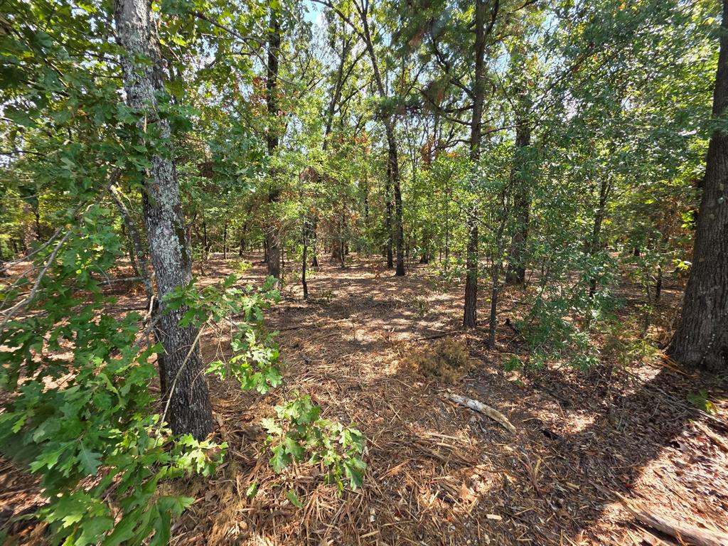 Joseph Reed Surv Abs #461 - Land