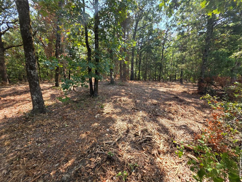 Joseph Reed Surv Abs #461 - Land