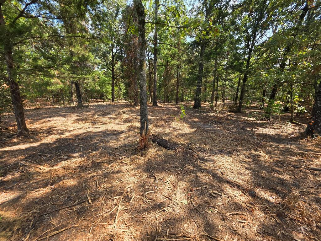 Joseph Reed Surv Abs #461 - Land