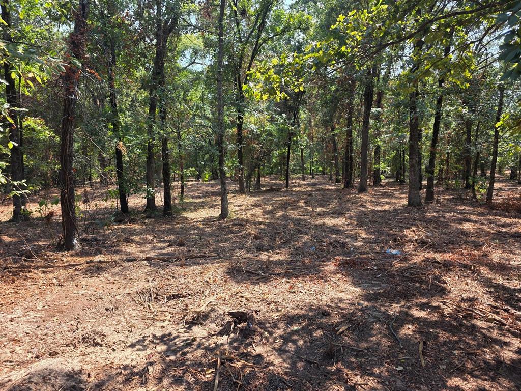 Joseph Reed Surv Abs #461 - Land