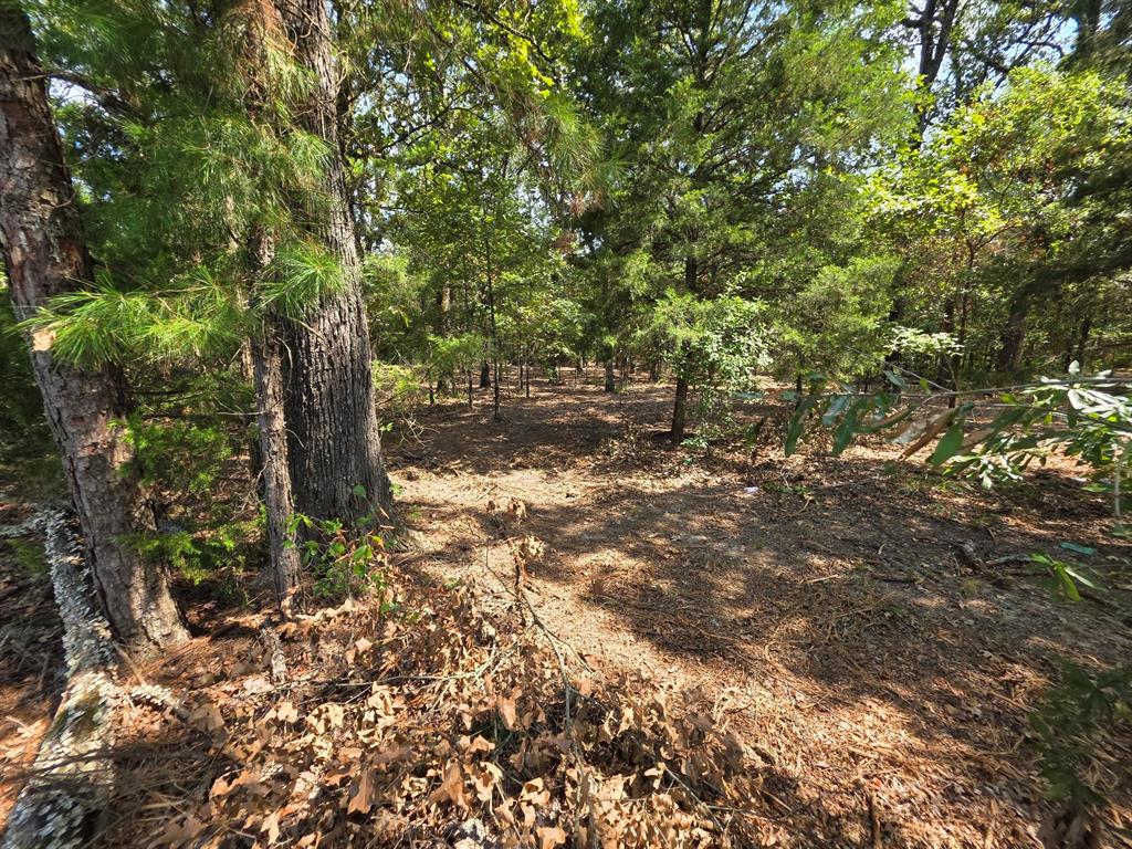 Joseph Reed Surv Abs #461 - Land