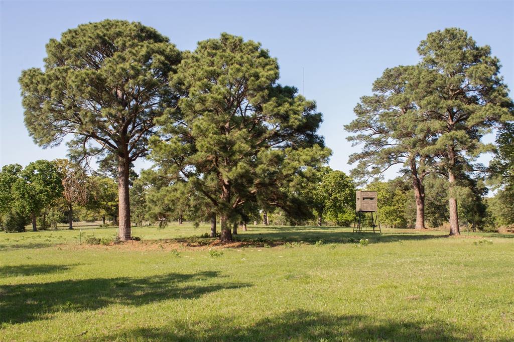 490 John Craft Road