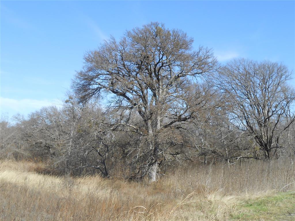 Hubbard Hills Tr 17 Ph II - Land