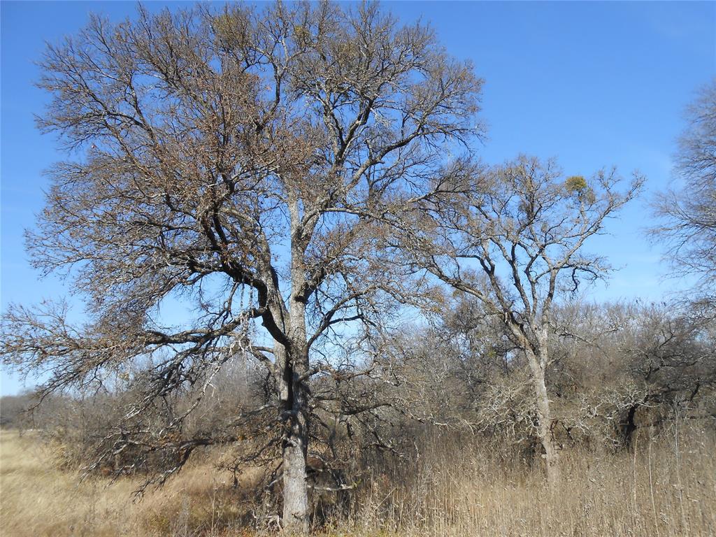 Hubbard Hills Tr 17 Ph II - Land