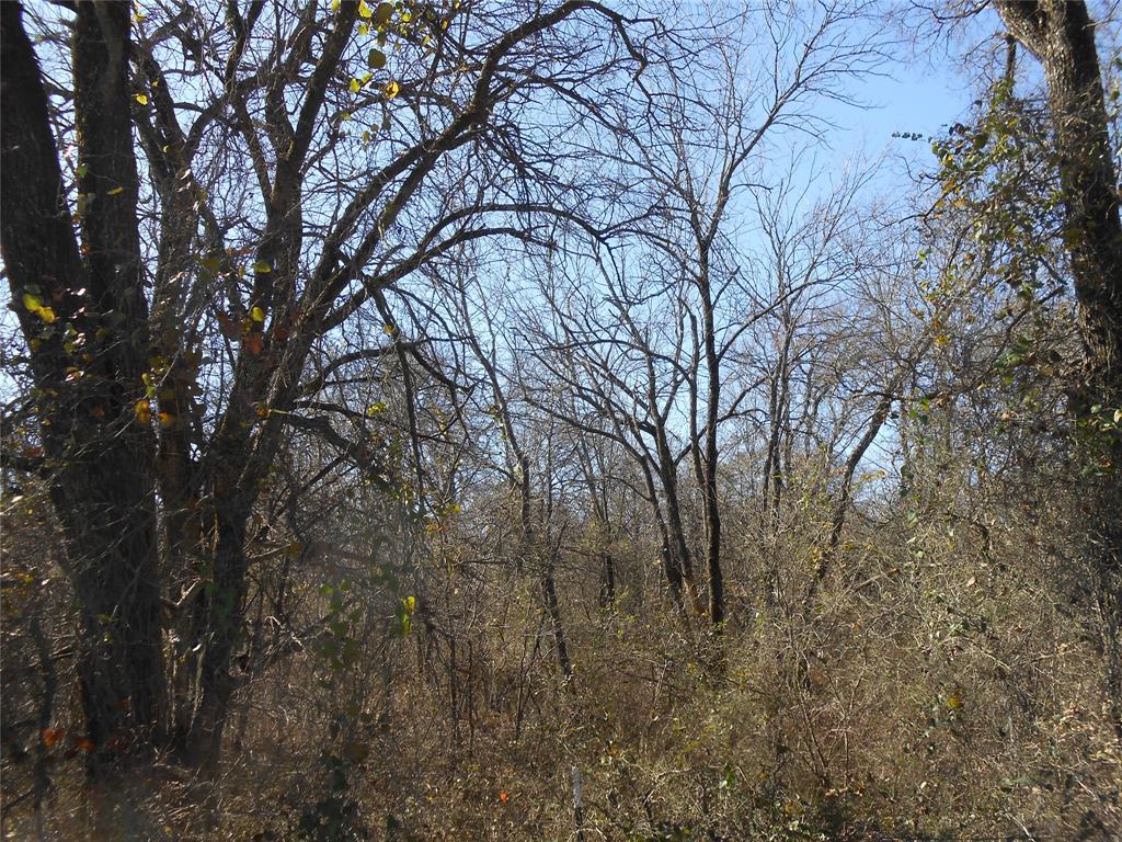 Hubbard Hills Tr 17 Ph II - Land