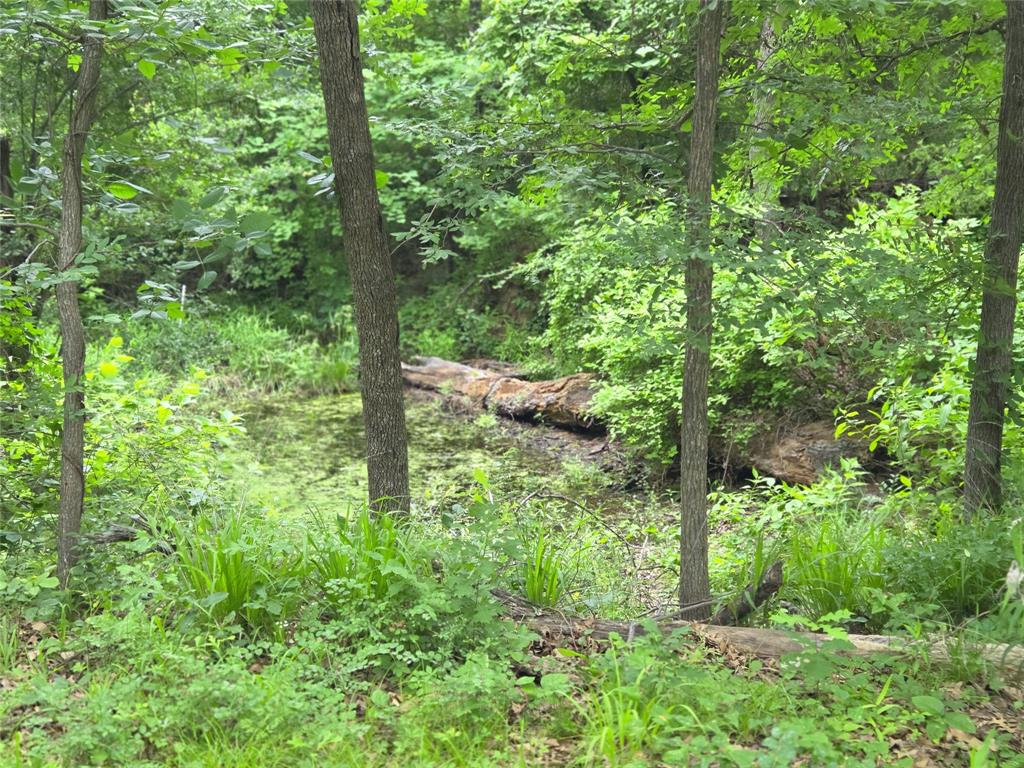 The Shores On Richland Chamb - Land