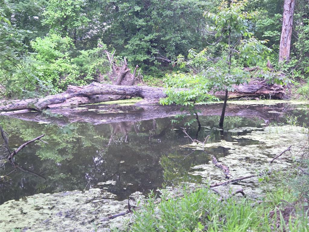 The Shores On Richland Chamb - Land