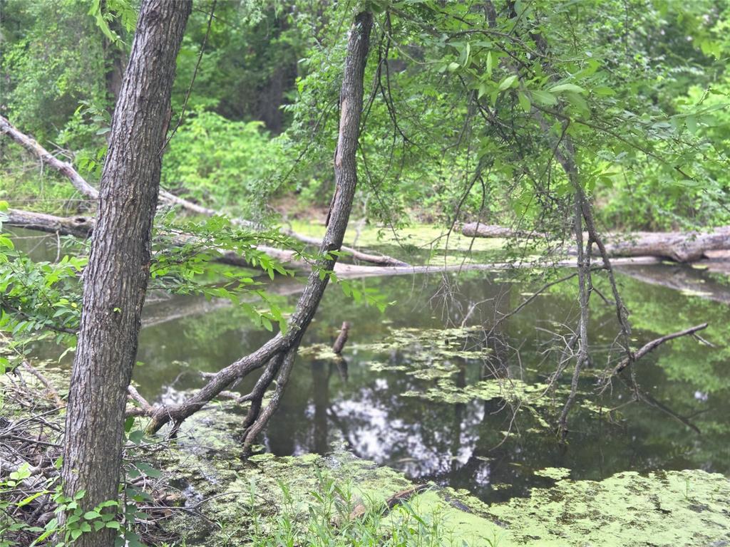 The Shores On Richland Chamb - Land