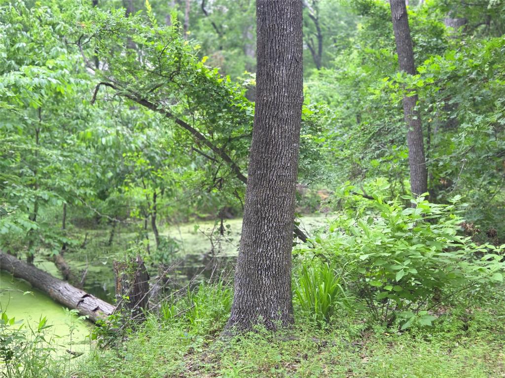 The Shores On Richland Chamb - Land