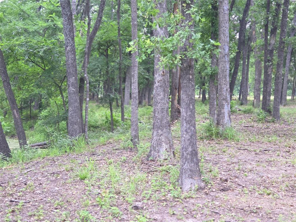 The Shores On Richland Chamb - Land