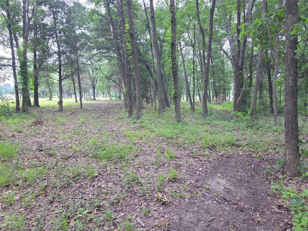 The Shores On Richland Chamb - Land