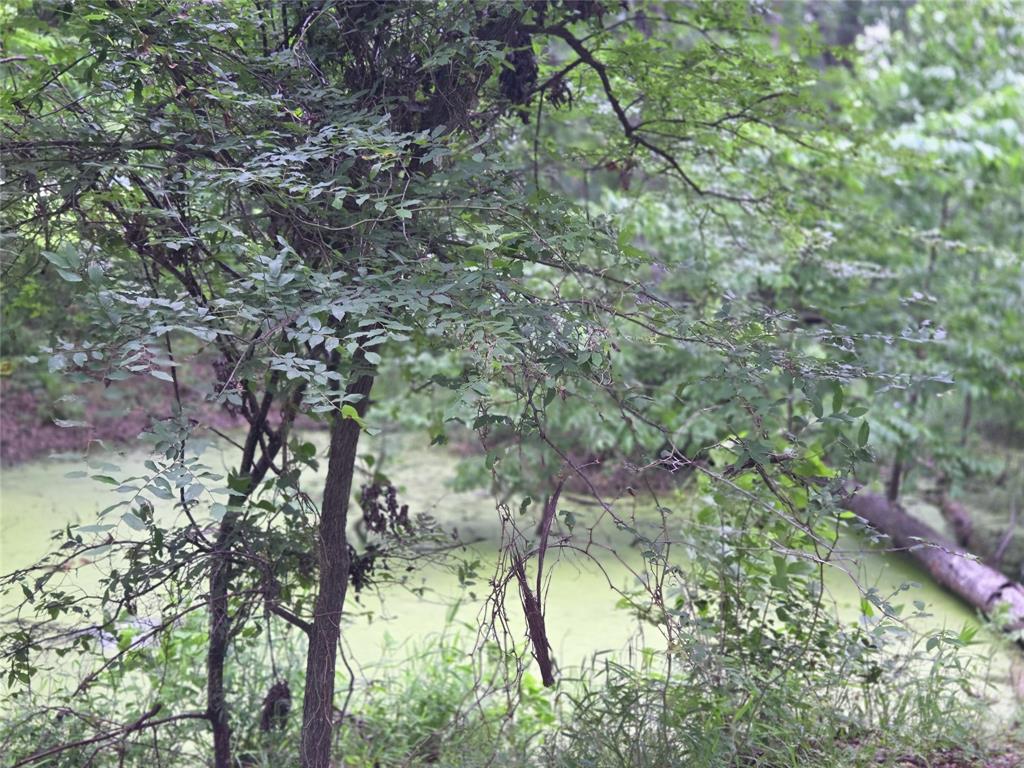 The Shores On Richland Chamb - Land