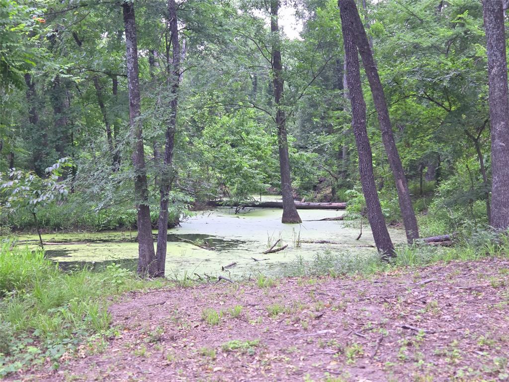 The Shores On Richland Chamb - Land