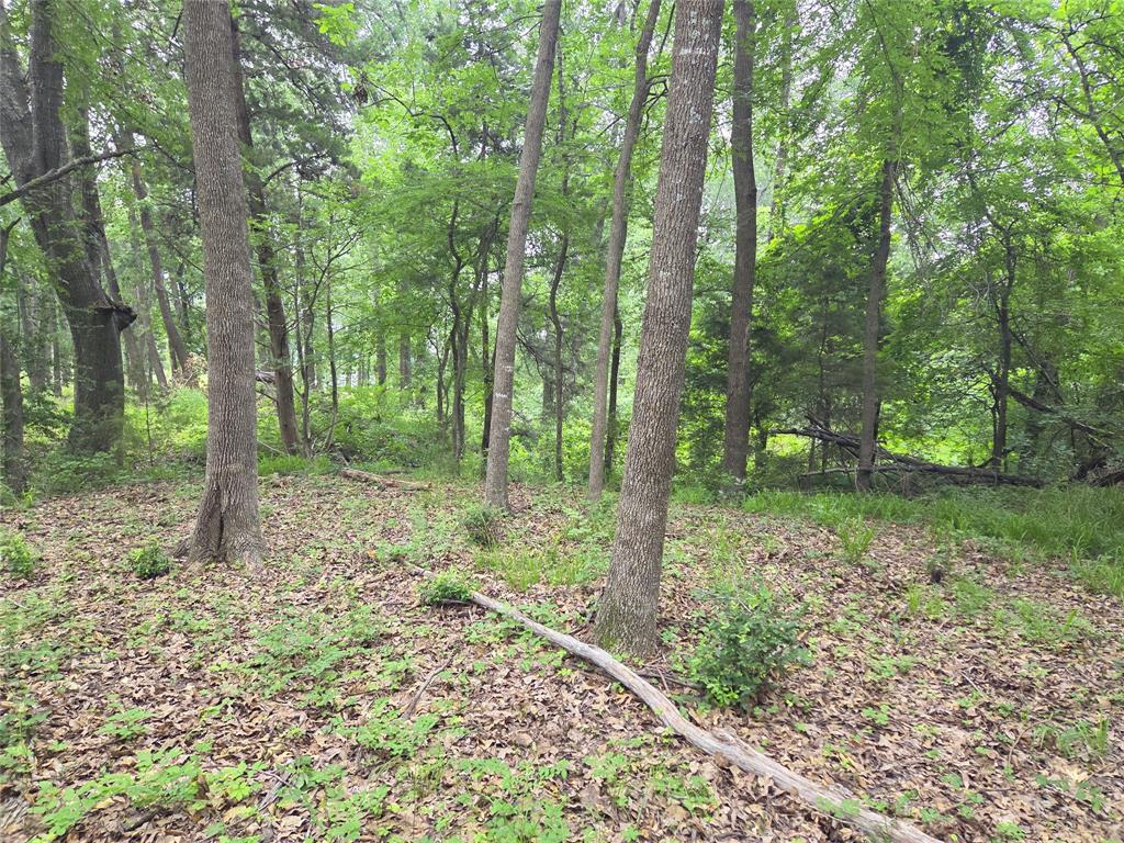 The Shores On Richland Chamb - Land