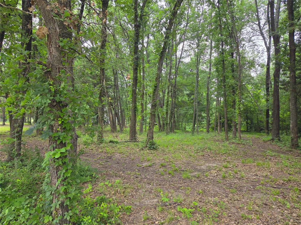 The Shores On Richland Chamb - Land