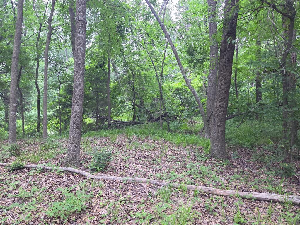 The Shores On Richland Chamb - Land