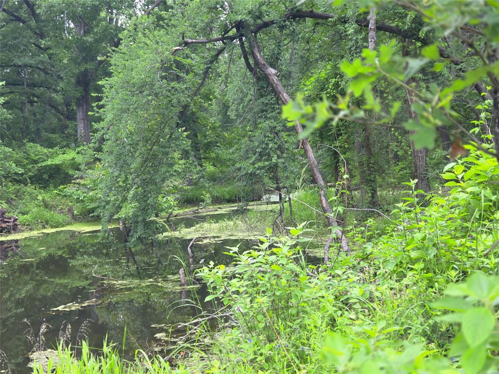 The Shores On Richland Chamb - Land