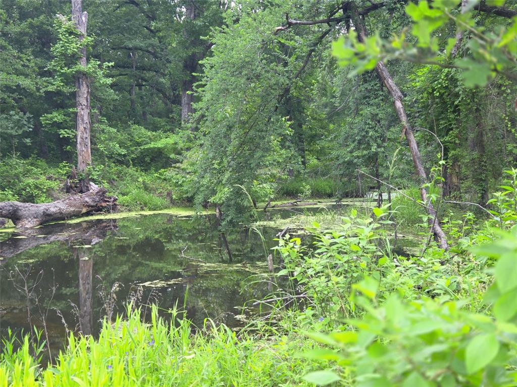 The Shores On Richland Chamb - Land