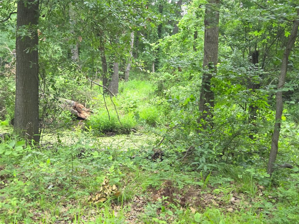 The Shores On Richland Chamb - Land