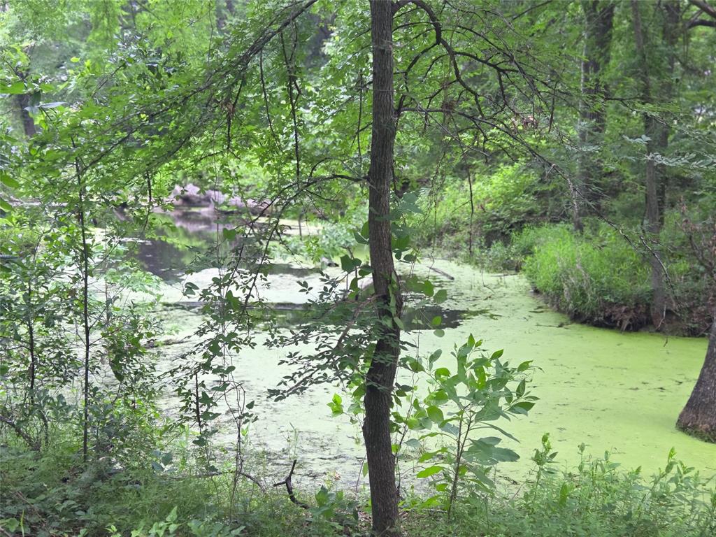 The Shores On Richland Chamb - Land