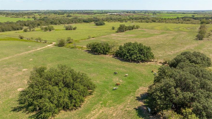 Discover the perfect opportunity for your agricultural dreams with this expansive piece of land! Spanning over 115 acres, this property features three fertile pastures, ideal for grazing and cultivation. Easily able to rotate livestock.  A portion of the property is ready to be planted for winter crops.  Power poles throughout the property if needed. One pond that has not gone dry, you’ll have good water supply for your livestock and wildlife. Old homesite with power. Unknown information on well that is currently not in use.  The property has road frontage along one side.  Providing excellent accessibility and visibility for any future development.  Property can be divided.   Fenced and cross fenced.  Boasts plentiful wildlife.  Deer, turkey, and dove for hunting or just enjoying the great outdoors. More acreage available to purchase with road frontage off County Road 333, also. See Listing 3083 CR 333, Dublin. CAN DIVIDE OR MORE LAND AVAILABLE.