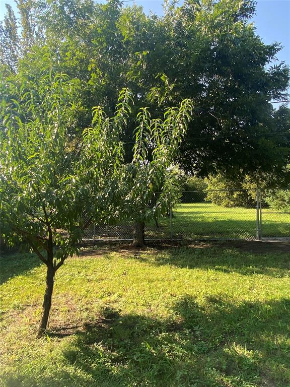 Willow Wood Ranch Estates Ph II - Residential